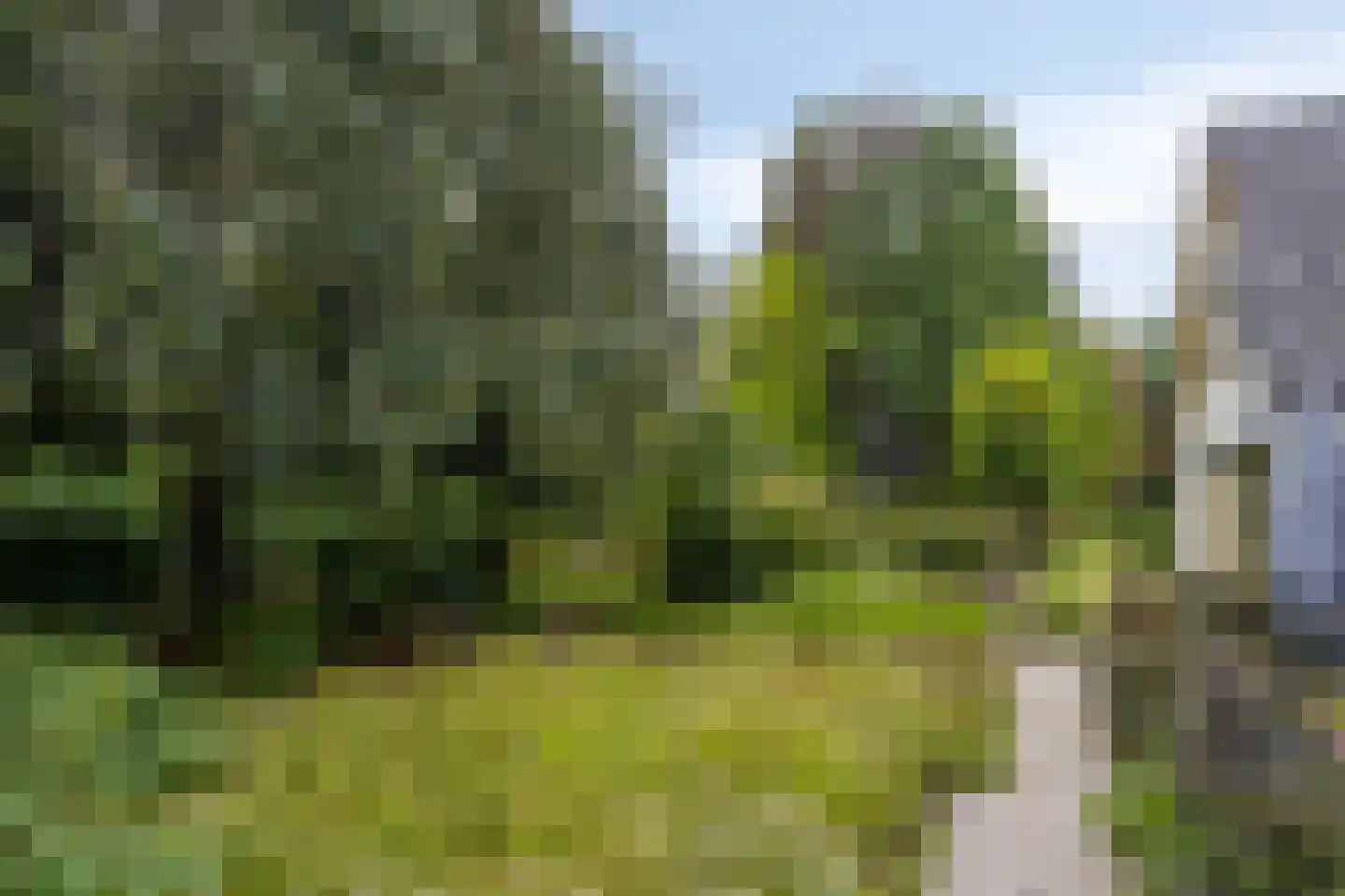 Ravenstraat 12 Epe thumbnail 60