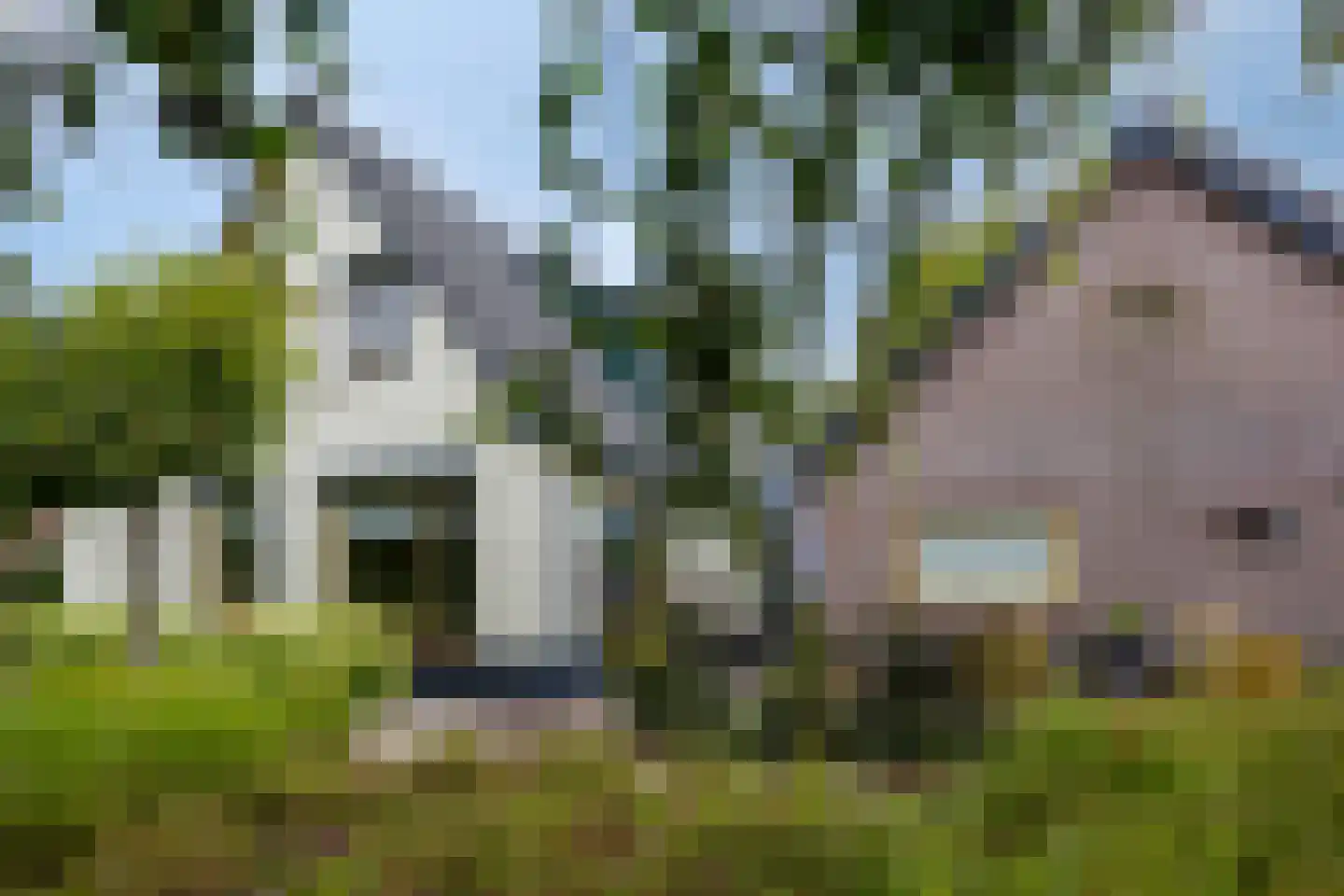 Ravenstraat 12 Epe thumbnail 61