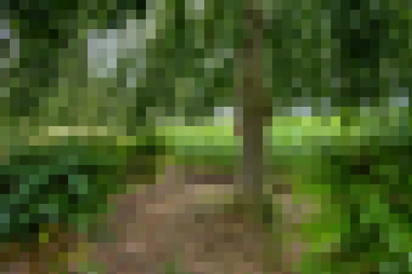 Ravenstraat 12 Epe thumbnail 62
