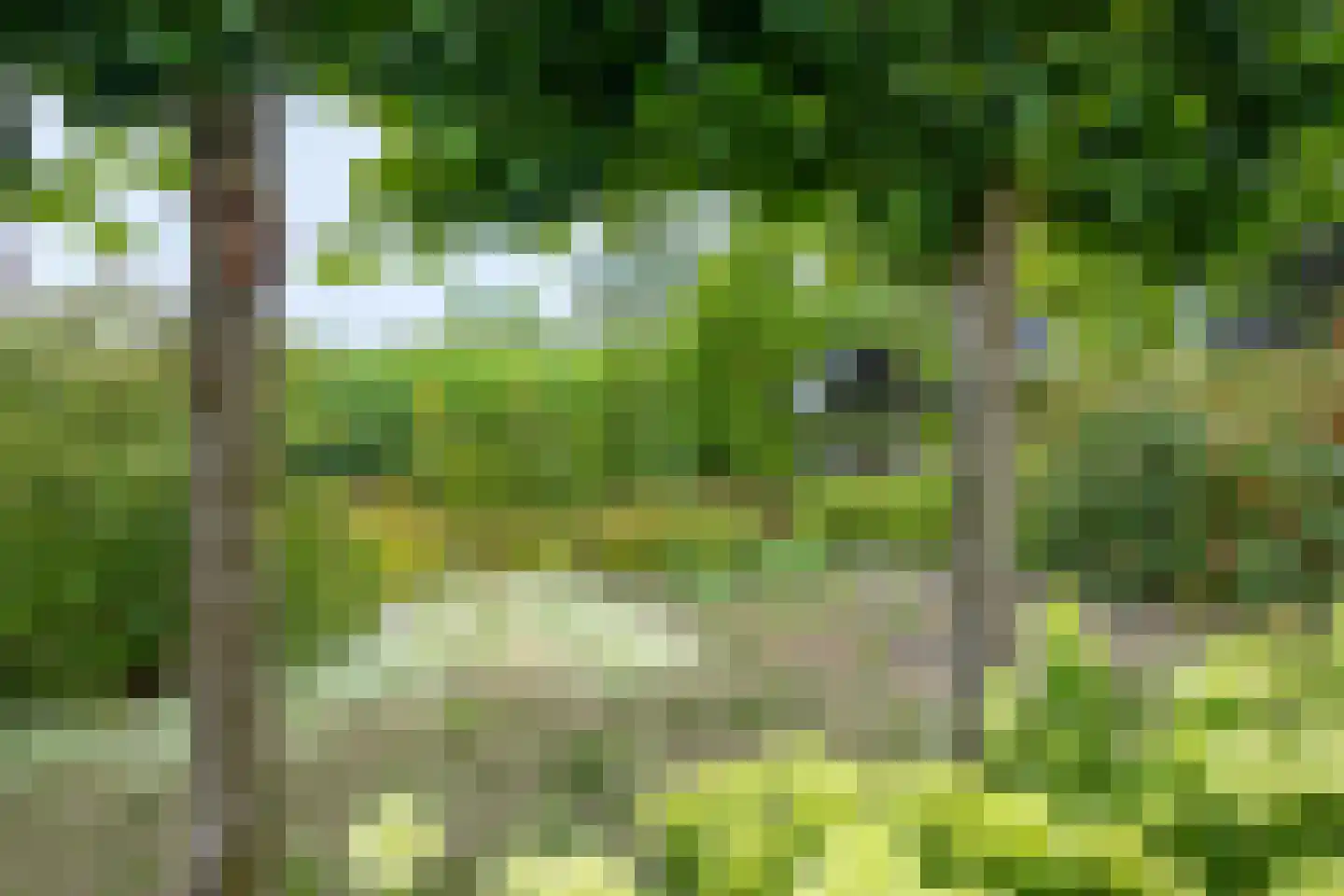 Ravenstraat 12 Epe thumbnail 63