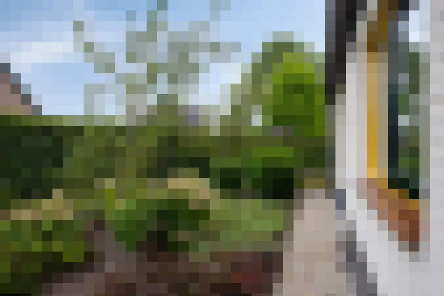 Ravenstraat 12 Epe thumbnail 64