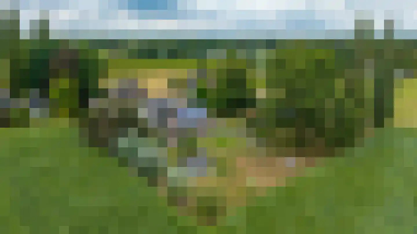 Ravenstraat 12 Epe thumbnail 67