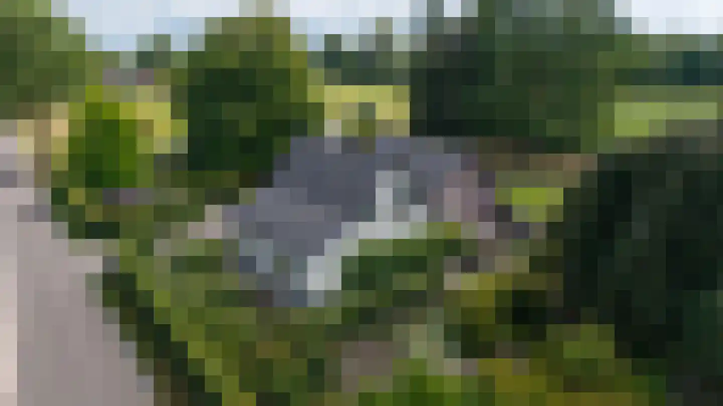 Ravenstraat 12 Epe thumbnail 69