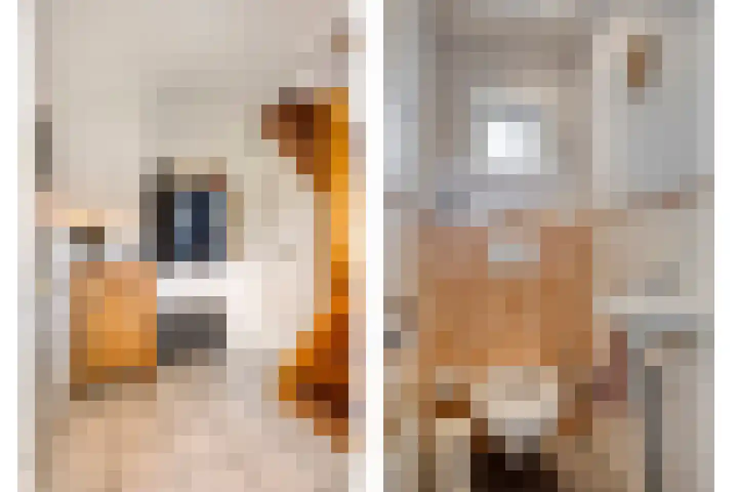 Ravenstraat 12 Epe thumbnail 9
