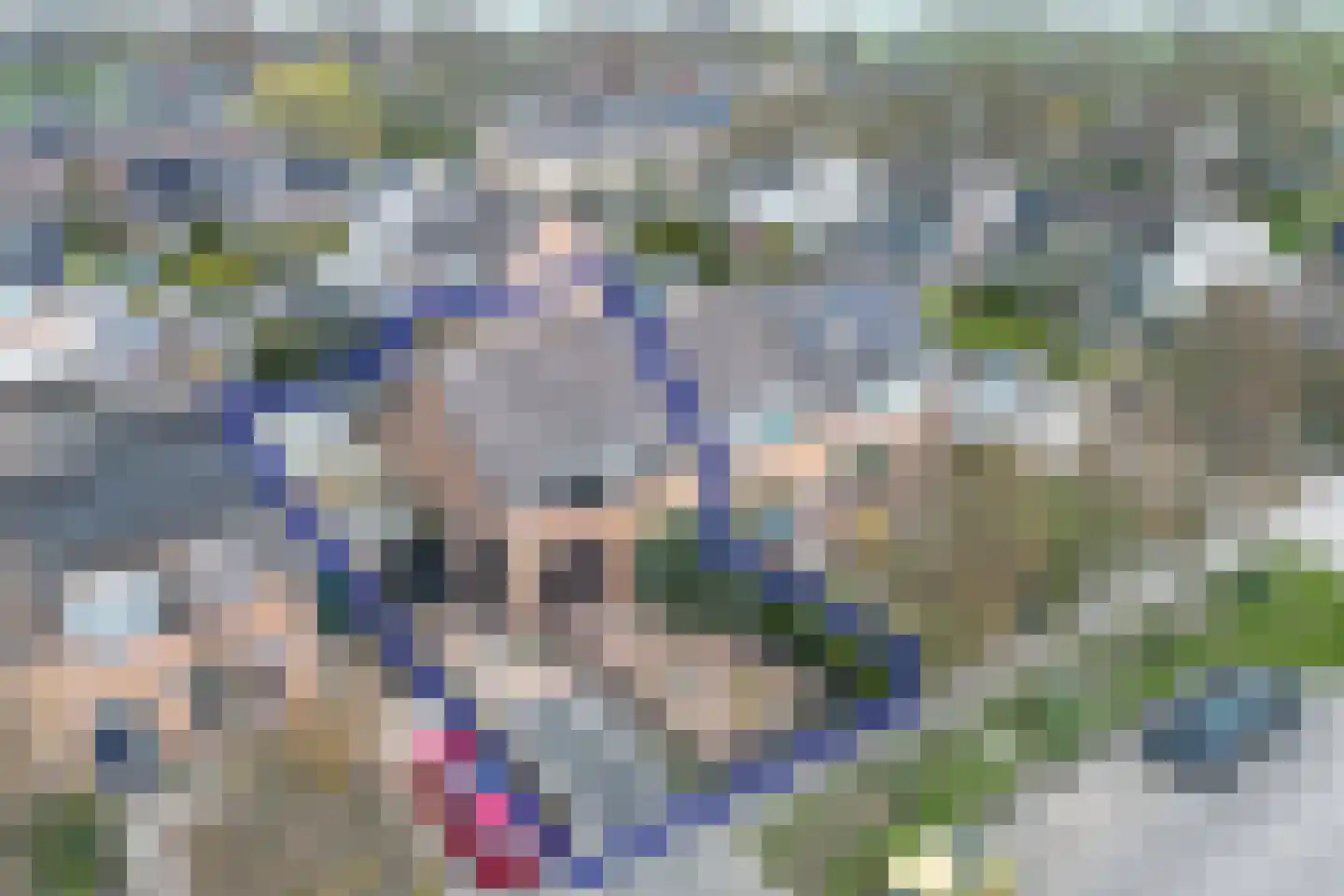 Ravenstraat 17 Schellinkhout thumbnail 10