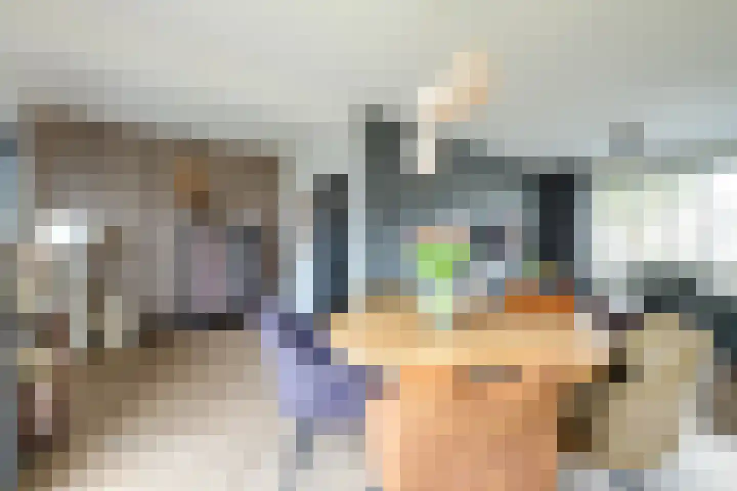 Ravenstraat 17 Schellinkhout thumbnail 21