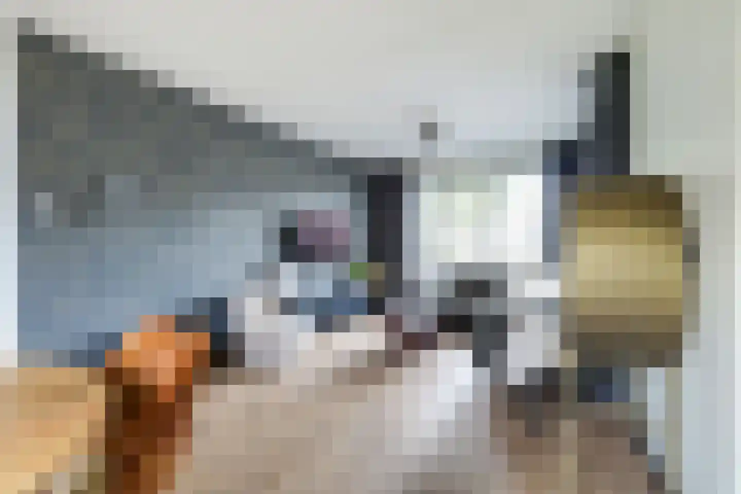 Ravenstraat 17 Schellinkhout thumbnail 23
