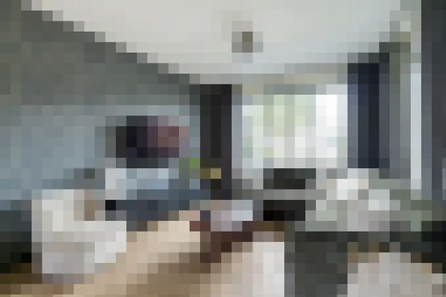 Ravenstraat 17 Schellinkhout thumbnail 24