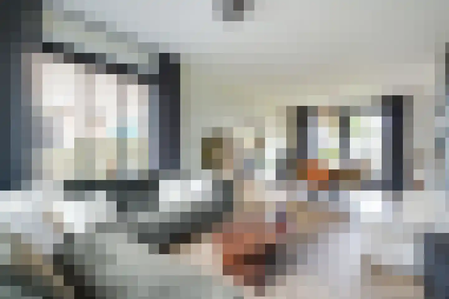 Ravenstraat 17 Schellinkhout thumbnail 26