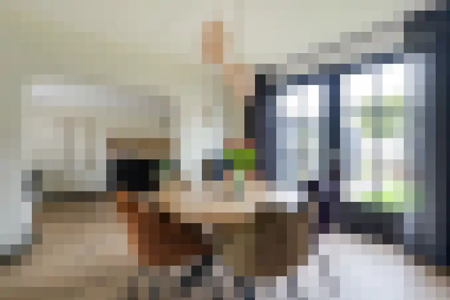Ravenstraat 17 Schellinkhout thumbnail 28