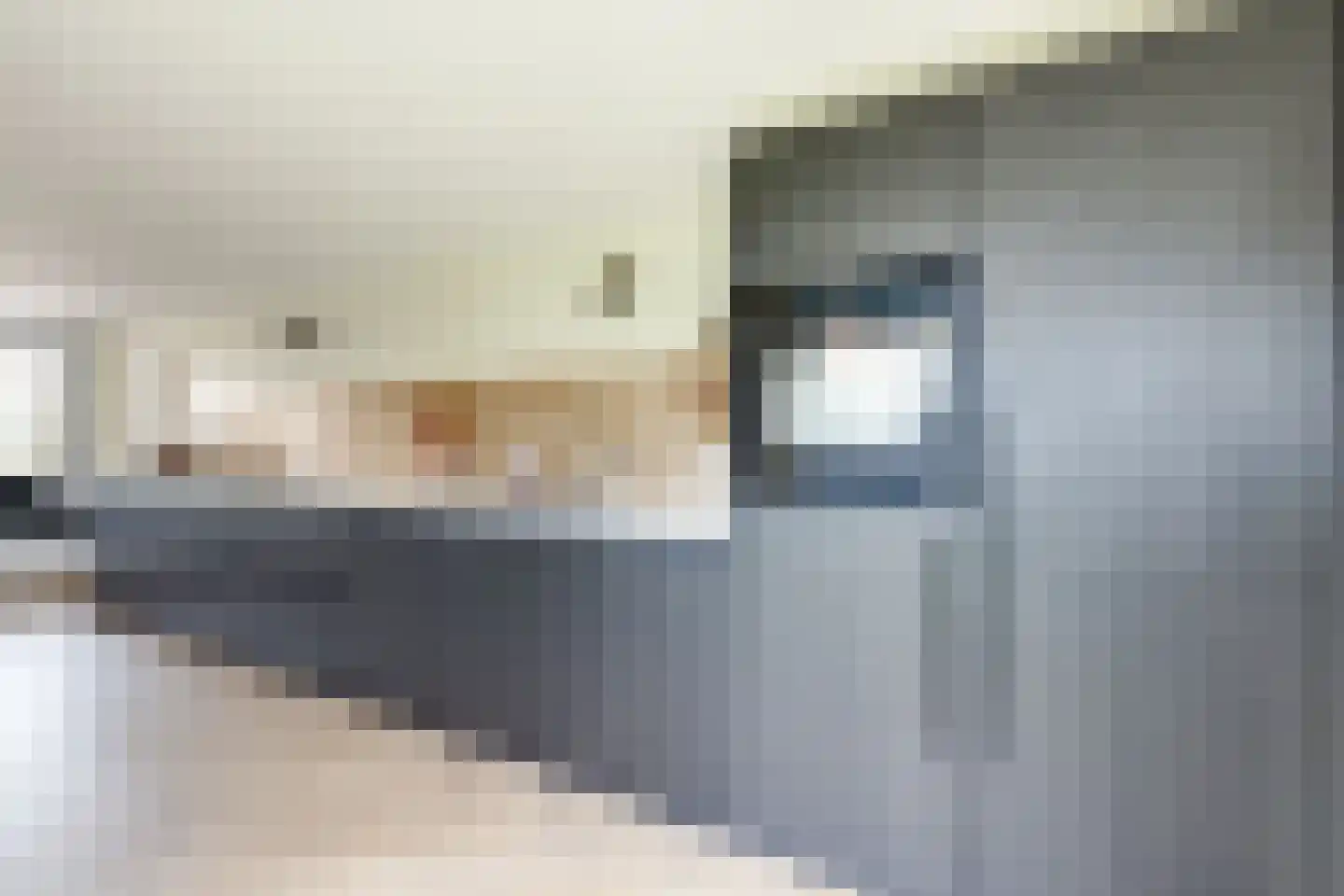 Ravenstraat 17 Schellinkhout thumbnail 33