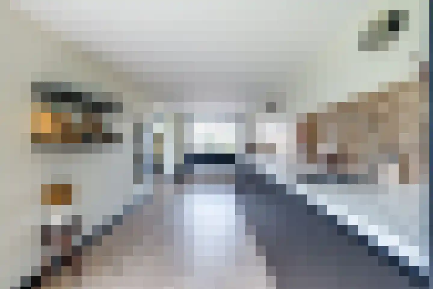 Ravenstraat 17 Schellinkhout thumbnail 34