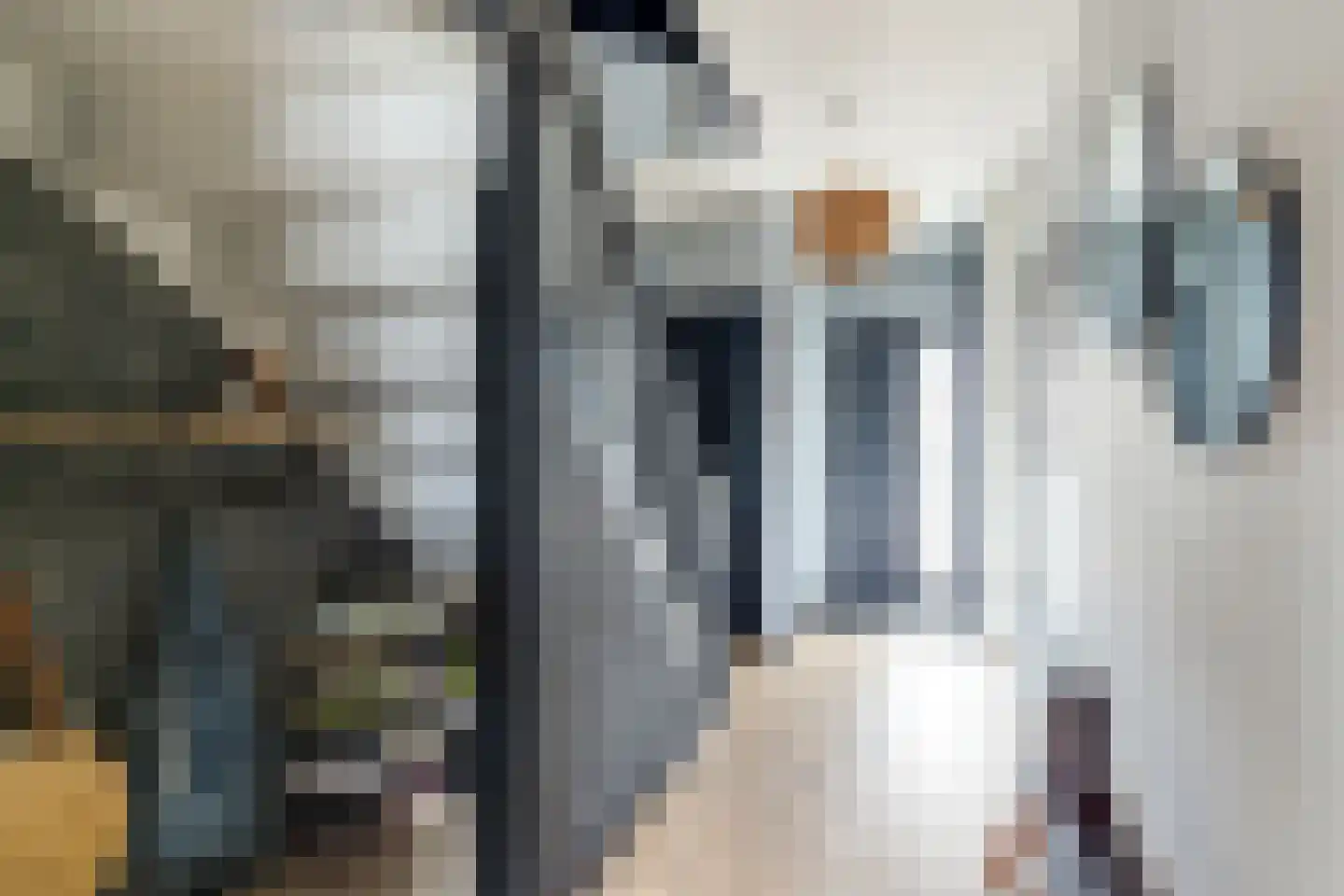 Ravenstraat 17 Schellinkhout thumbnail 36