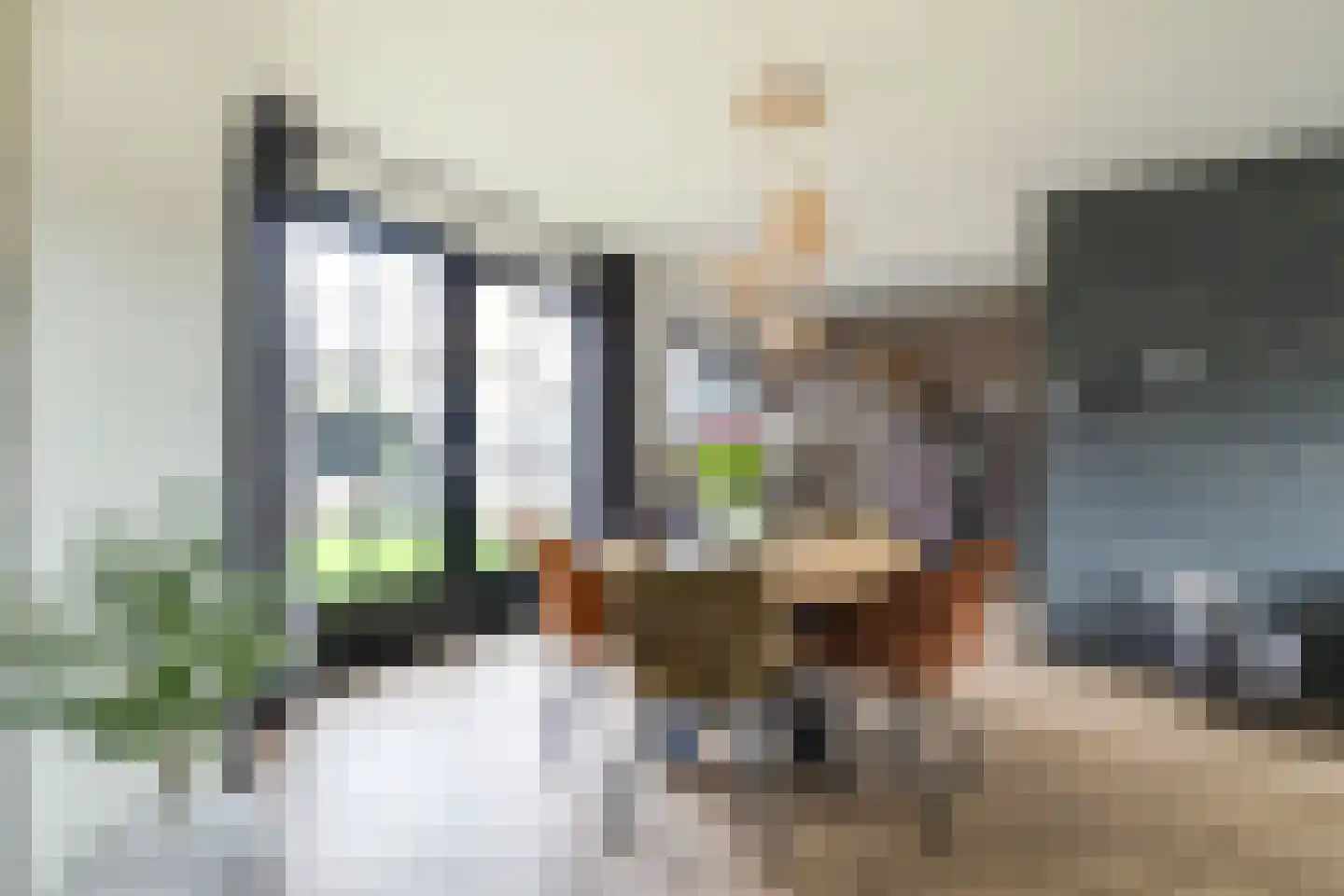 Ravenstraat 17 Schellinkhout thumbnail 4
