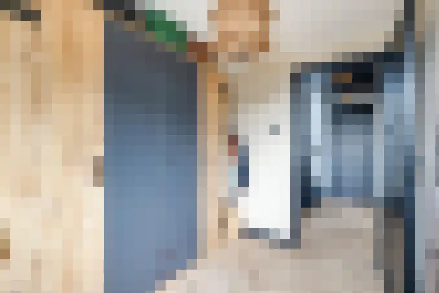 Ravenstraat 17 Schellinkhout thumbnail 41