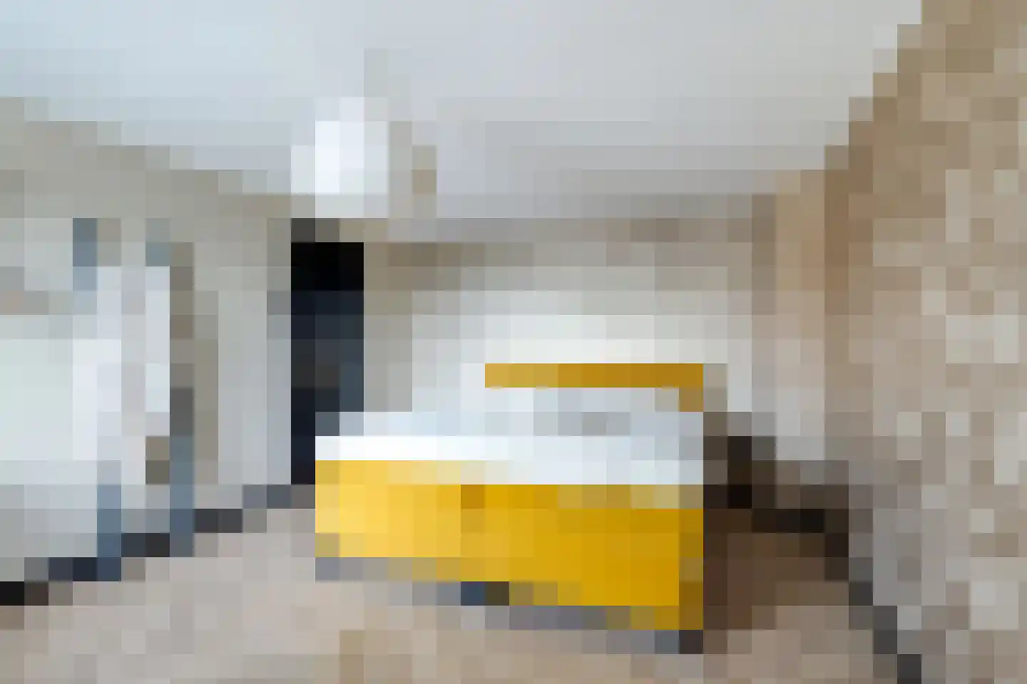 Ravenstraat 17 Schellinkhout thumbnail 44
