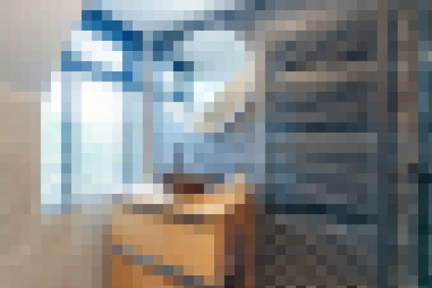 Ravenstraat 17 Schellinkhout thumbnail 49
