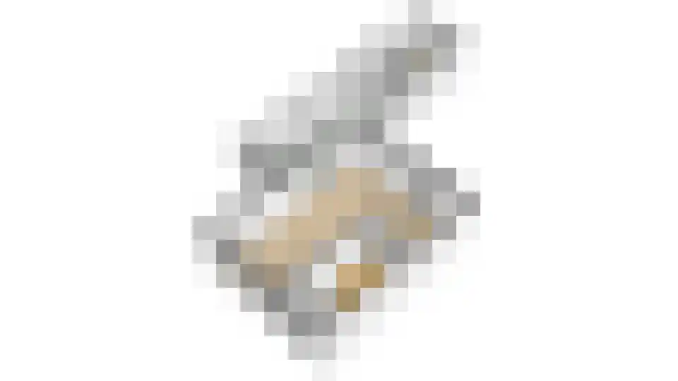 Ravenstraat 17 Schellinkhout thumbnail 69
