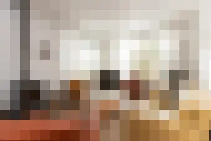 Ravenstraat 23 Schellinkhout thumbnail 13
