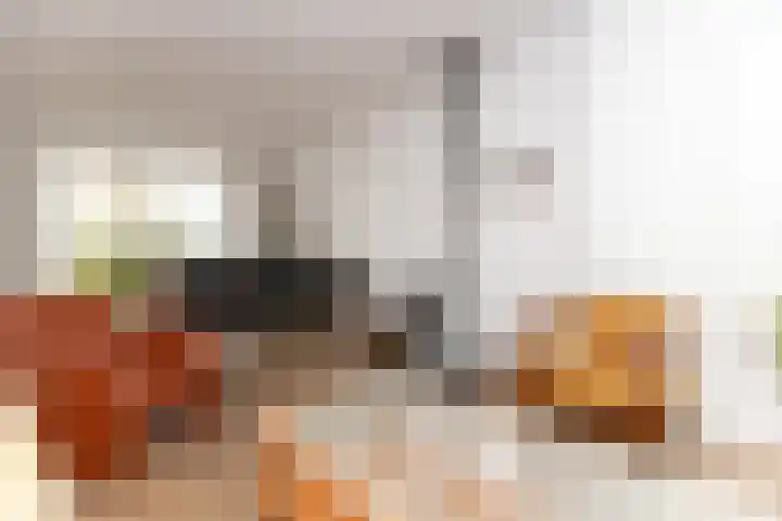 Ravenstraat 23 Schellinkhout thumbnail 17
