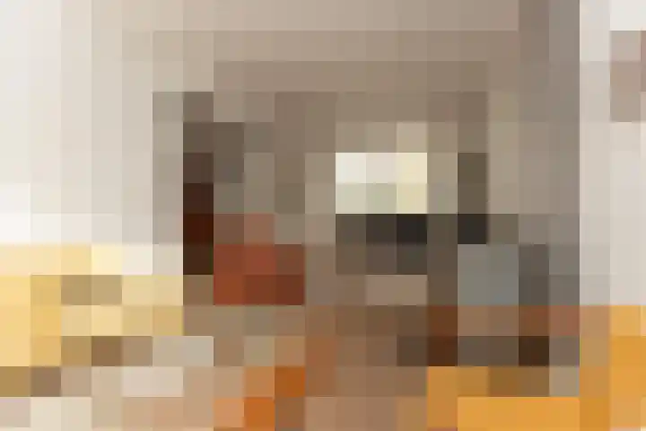 Ravenstraat 23 Schellinkhout thumbnail 18