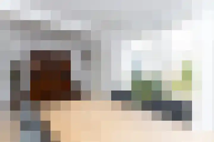 Ravenstraat 23 Schellinkhout thumbnail 21