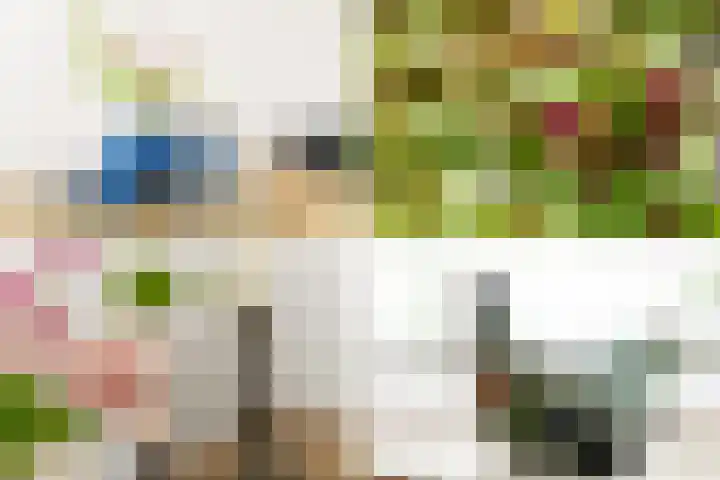 Ravenstraat 23 Schellinkhout thumbnail 27