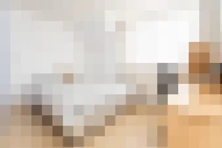 Ravenstraat 23 Schellinkhout thumbnail 41