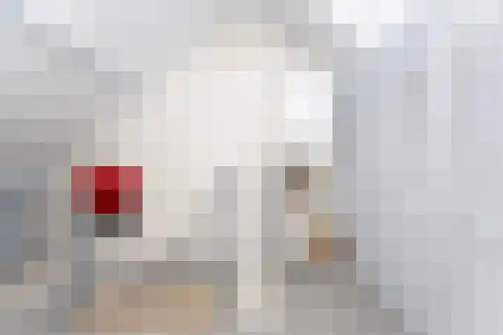 Ravenstraat 23 Schellinkhout thumbnail 45