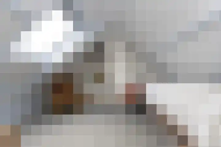 Ravenstraat 23 Schellinkhout thumbnail 46