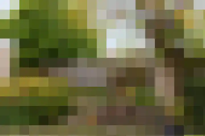 Ravenstraat 23 Schellinkhout thumbnail 5