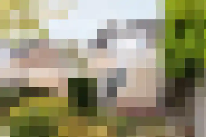 Ravenstraat 23 Schellinkhout thumbnail 51