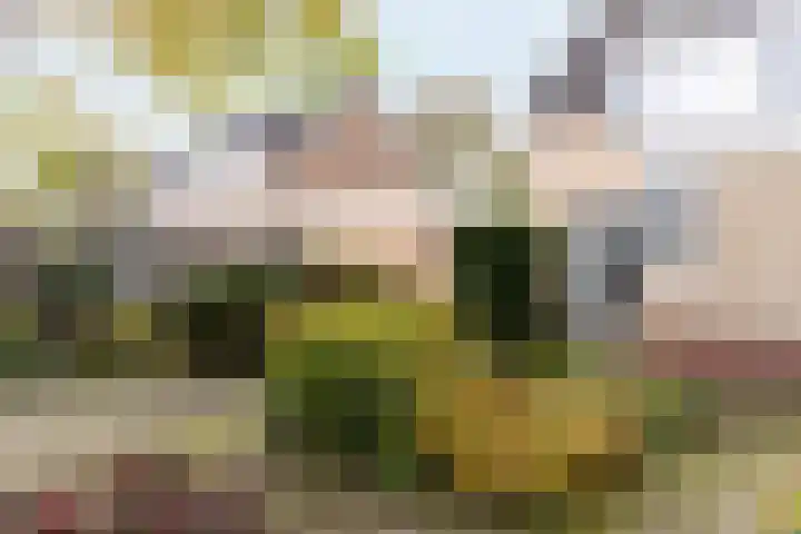 Ravenstraat 23 Schellinkhout thumbnail 52