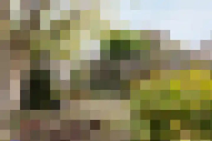 Ravenstraat 23 Schellinkhout thumbnail 54