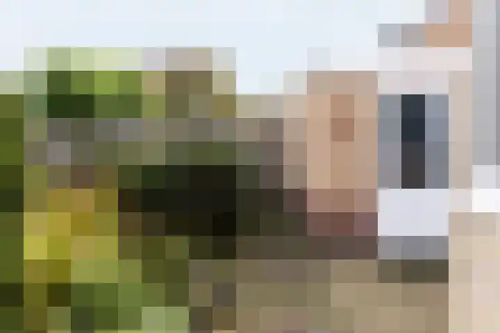 Ravenstraat 23 Schellinkhout thumbnail 55