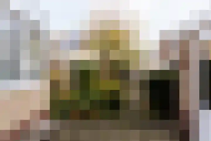 Ravenstraat 23 Schellinkhout thumbnail 57