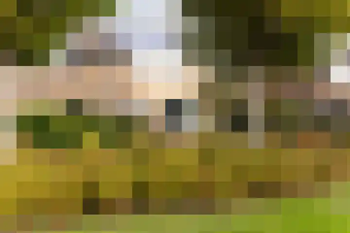 Ravenstraat 23 Schellinkhout thumbnail 7