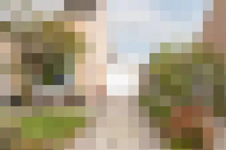 Ravenstraat 23 Schellinkhout thumbnail 9