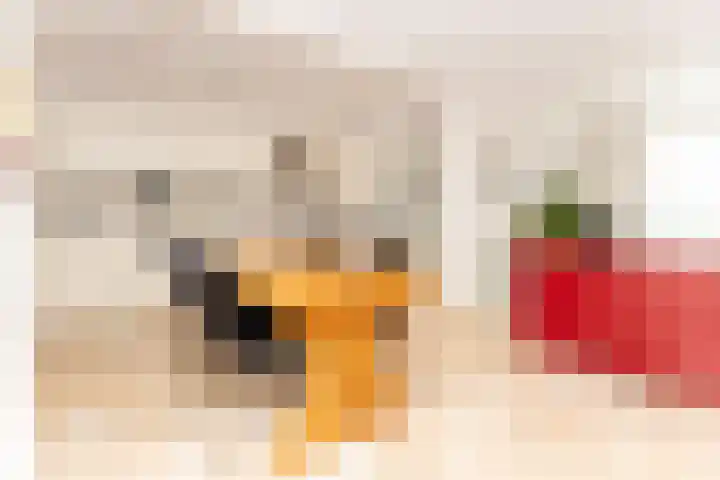 Ravenstraat 30 Schellinkhout thumbnail 17