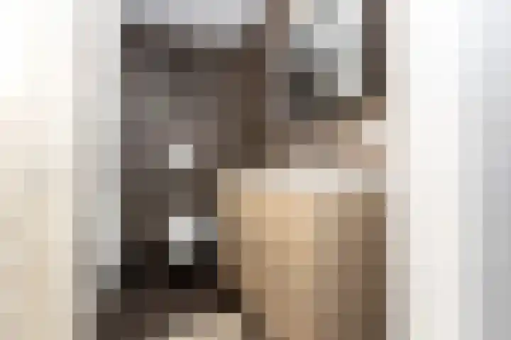 Ravenstraat 30 Schellinkhout thumbnail 22