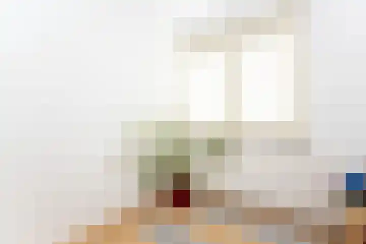 Ravenstraat 30 Schellinkhout thumbnail 33