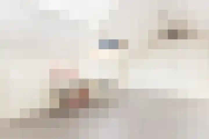 Ravenstraat 30 Schellinkhout thumbnail 37