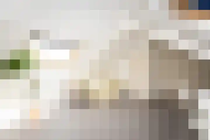 Ravenstraat 30 Schellinkhout thumbnail 40