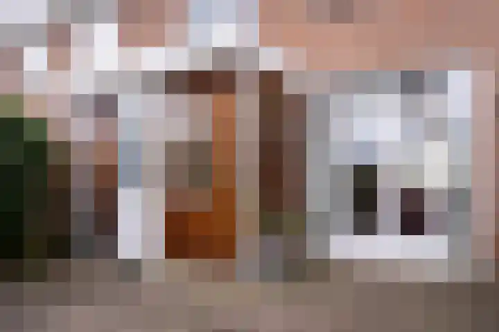 Ravenstraat 30 Schellinkhout thumbnail 43