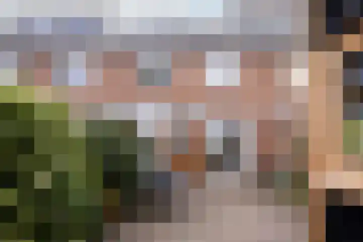 Ravenstraat 30 Schellinkhout thumbnail 46