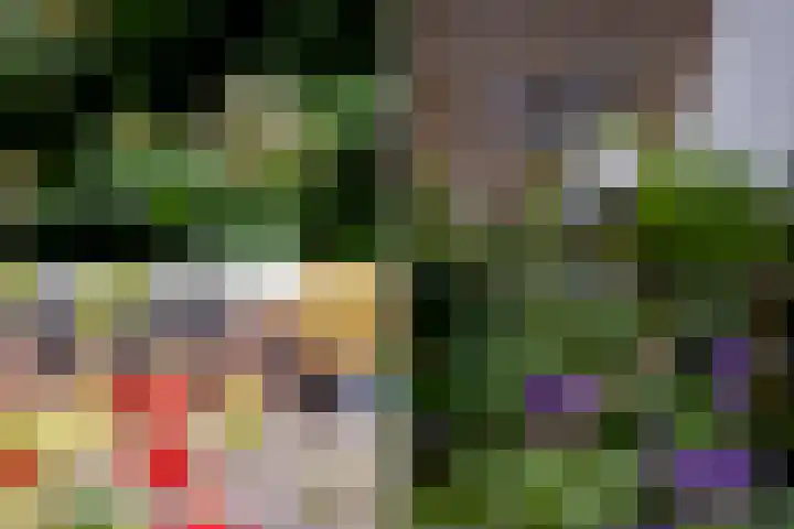 Ravenstraat 30 Schellinkhout thumbnail 47
