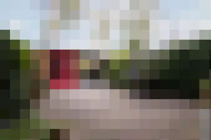 Ravenstraat 30 Schellinkhout thumbnail 5