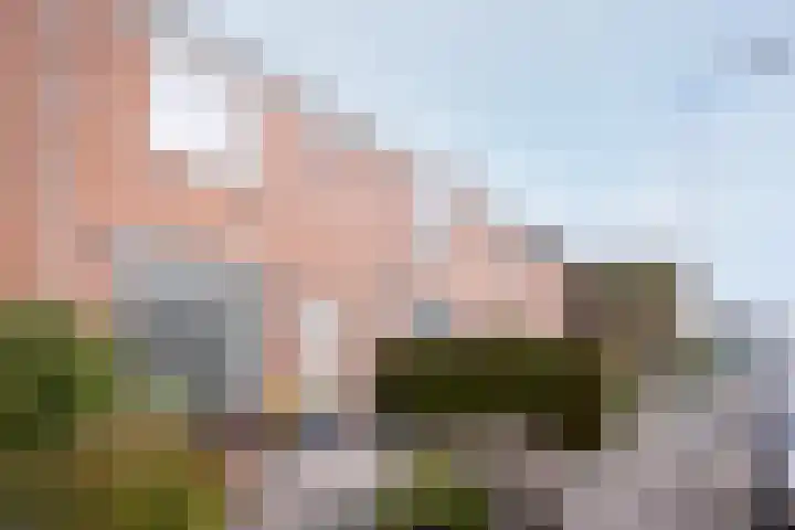 Ravenstraat 30 Schellinkhout thumbnail 7