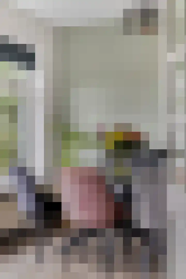 Ravenstraat 88 Schellinkhout thumbnail 11