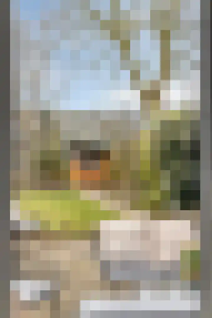 Ravenstraat 88 Schellinkhout thumbnail 12